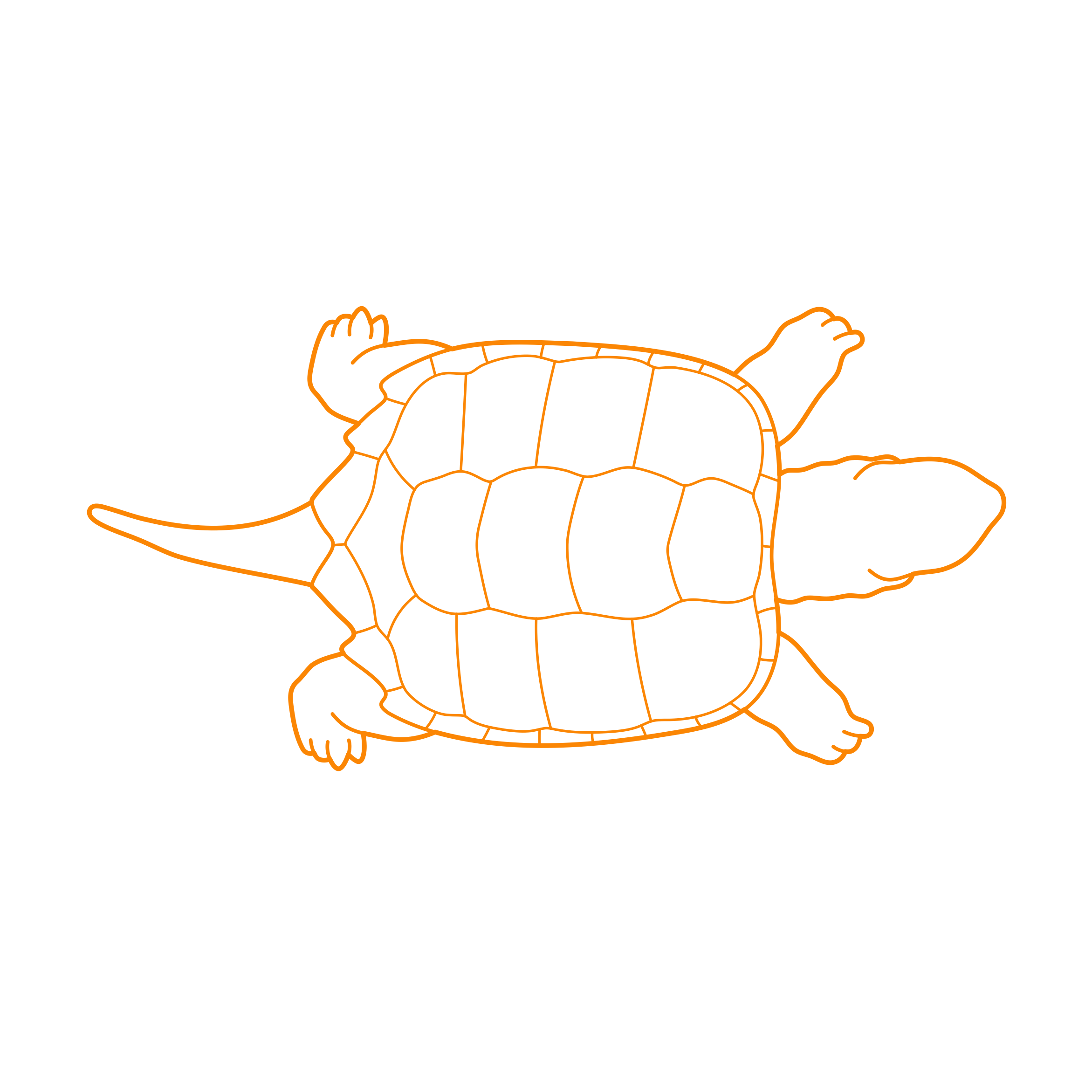 Animals Turtles Common Snapping Turtle Outline Svg Vector Free Vectors
